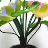 Nine fiber optic LED lotus lamps, plug-in household lotus lamps, are offered before the Buddha undefined